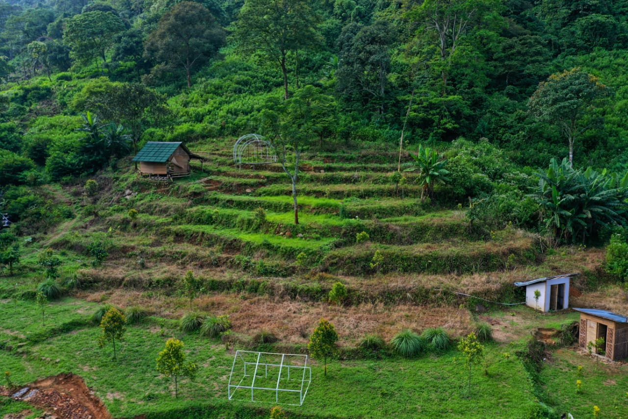 Kolega HIlls adventure